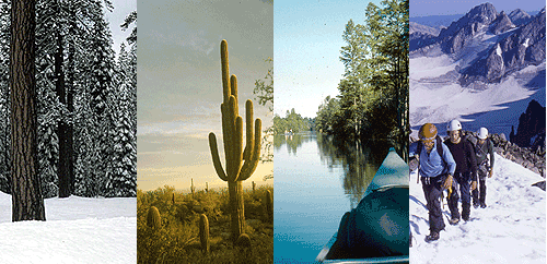 photos of forest, cactus, river and mounatin climbers