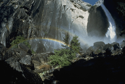 Scenic view of Yosemite National Park, California