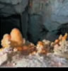 Photo of stalagmites and aragonite speleothems