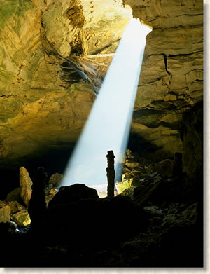 Recharging the ecosystem.  Sunlight shines into this cave entrance allowing abundant localized growth, which in turn provides food sources for life deeper within the cave.