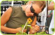 Tropical Botany, Plant Science, Research, and Conservation