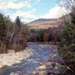 The Pemigewasset River (NH)