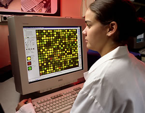 Researcher examines computer display screen