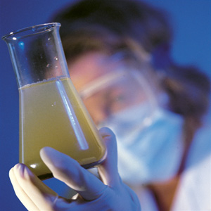 Researcher examining liquid in flask