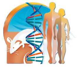 Mouse-DNA-Male-Female graphic