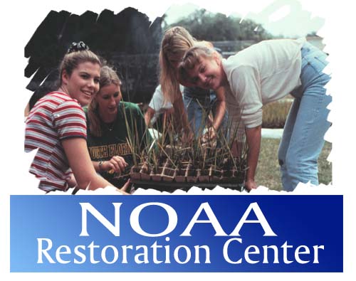 Restoration Center Banner