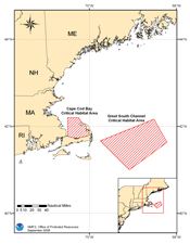 right whale critical habitat in the Northeast U.S.