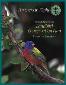 North American Landbird Conservation Plan