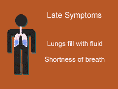 Late symptoms (3703 bytes)