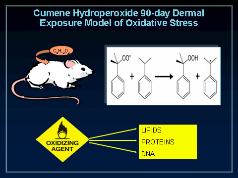 Cumene Hydroperoxide 90-day Dermal Exposure Model of Oxidative Stress