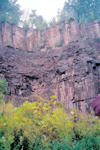 Vertical joints and bedding planes on a quarry face in New Jersey