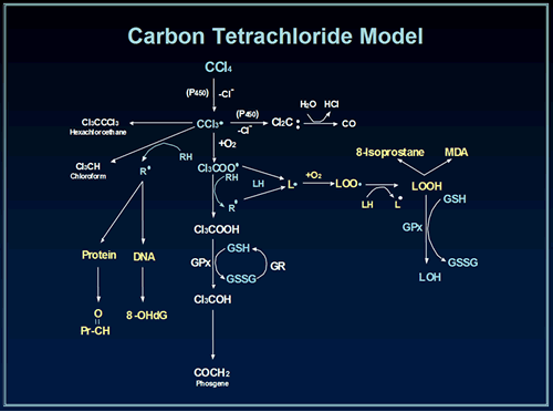 Carbon Tetrachloride Model