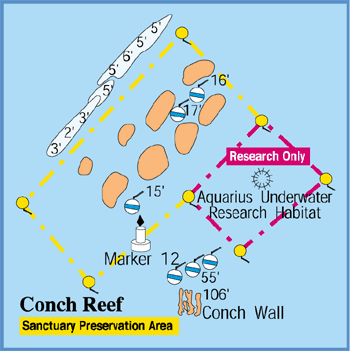 Cheeca Rocks Reef Map