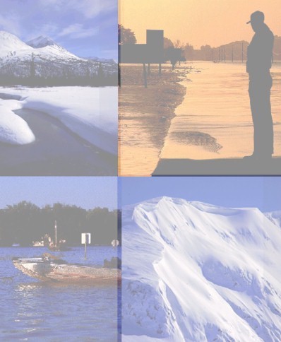 top left, snowy river melting near mountains;  top right, man watching flood waters; bottom left, seal on rock in water; bottom right, top of snowcapped mountain 