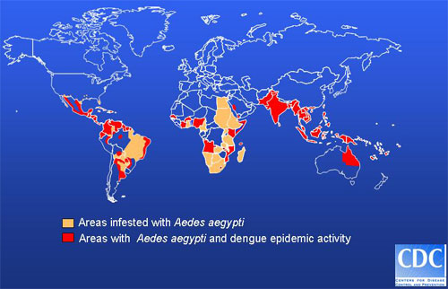 Map: World Distribution of Dengue, 2005