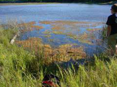 Misery Bay Sinkhole 