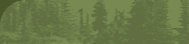 (header image left) Green trees on light green background