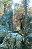 (image) fall colors at Blossom Rock