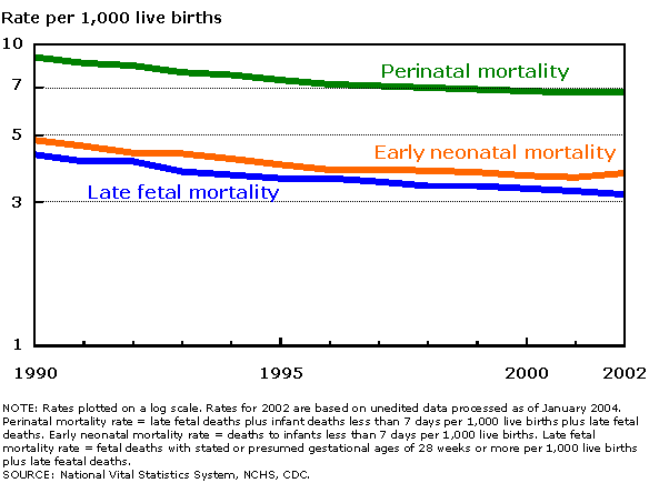 Figure 1.  Perinatal, late fetal, and early neonatal mortality rates, 1990-2002