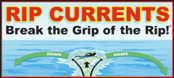 Rip Current Safety Information Link