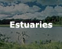 Estuaries