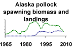 Alaska pollock biomass and landings **click to enlarge**