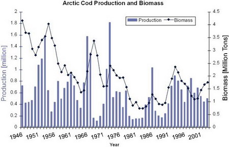 Arctic cod recruitment