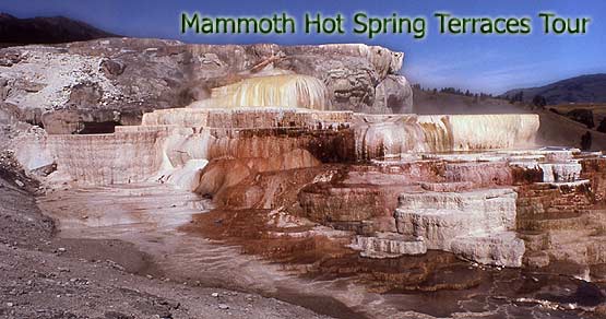Step-like deposits of limestone rock are covered with bright algae and bacteria at Mammoth Hot Springs in Yellowstone.