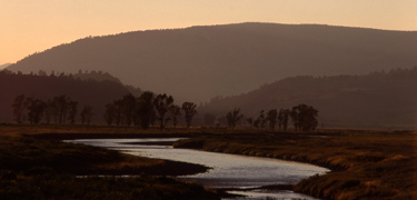 Scenic photo of sunrise at Lamar Valley with river and cottonwoods in middle.