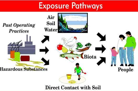 graphic of how people can be exposed
to hazardous substances through breathing air, eating food, or contacting soil