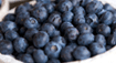 State Fruit - The Blueberry