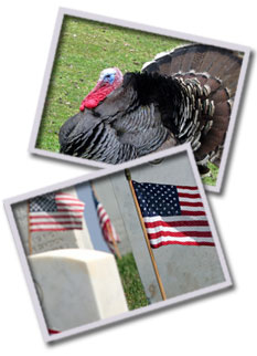 Turkey and Gravesites at Arneytown Cemetery
