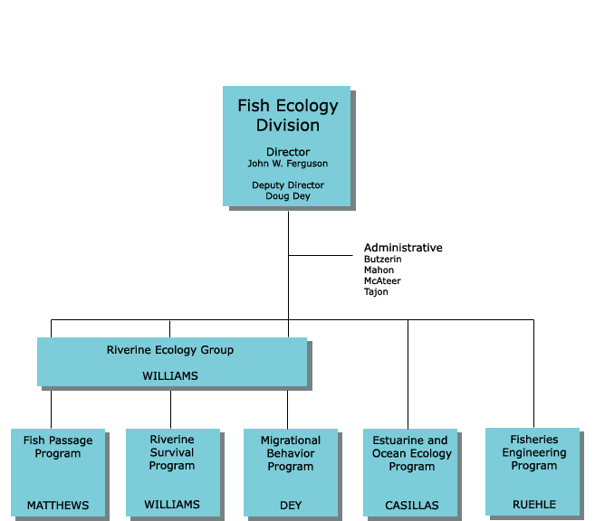 FE organization chart