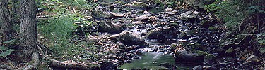 Acadia National Park stream