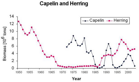 trends for stocks of northeast Arctic capelin and Norwegian spring-spawning herring