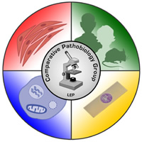 Comparative Pathobiology Group Logo. Circle with microscope graphic and lab text in center with four areas surrounding: humans with rodent, slide with tissue sample, cell with nucleus, and a group of muscle cells.