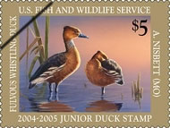 (2004-2005) Junior Stamp