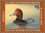 2006-2007 Junior Duck Stamp