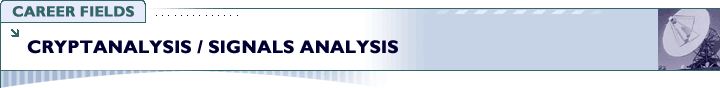 Career Fields | Cryptanlysis / Signals Analysis | NSA Image