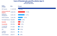 small sample of ypll report