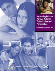 Measuring Intimate Partner Violence cover