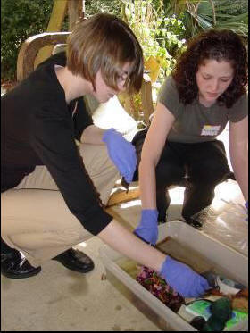 Two Wet Recovery Workshop participants examine water damaged items.