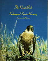 Cover of The Road Back, Endangered Species Recovery, Success with Partners