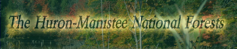 The Huron-Manistee National Forests