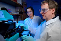 CDC scientists examine HIV samples