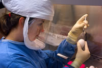CDC microbiologist working in a BSL-3 Lab