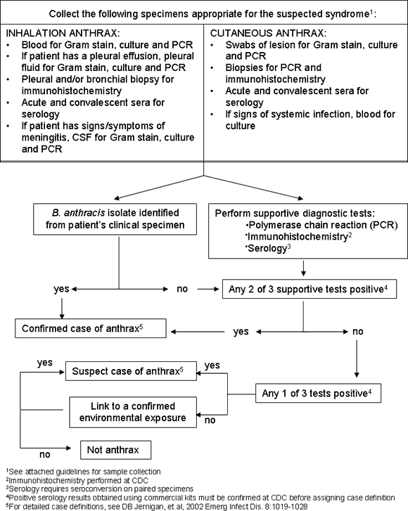 Flowchart: Algorithm for Laboratory Diagnosis of Anthrax