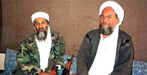 al-qaida