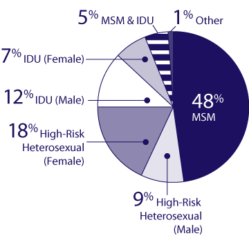 Estimated HIV Prevalence, by Transmission Category, 2006 MSM 48%, High-Risk Heterosexual (Male) 9%, High-Risk Heterosexual (Female) 18%, IDU (Male) 12%, IDU (Female) 7%, MSM & IDU 5%, Other 1%