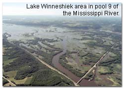 Aerial photo of numerous pools of water surrounded by vegetation.